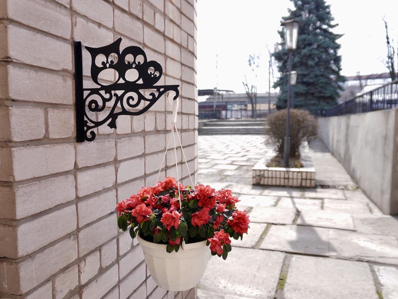 Кронштейн Совушки для кашпо с цветами метал Черный (М020) - фото 7 Кронштейн Совушки для кашпо с цветами метал Черный (М020) - фото 7