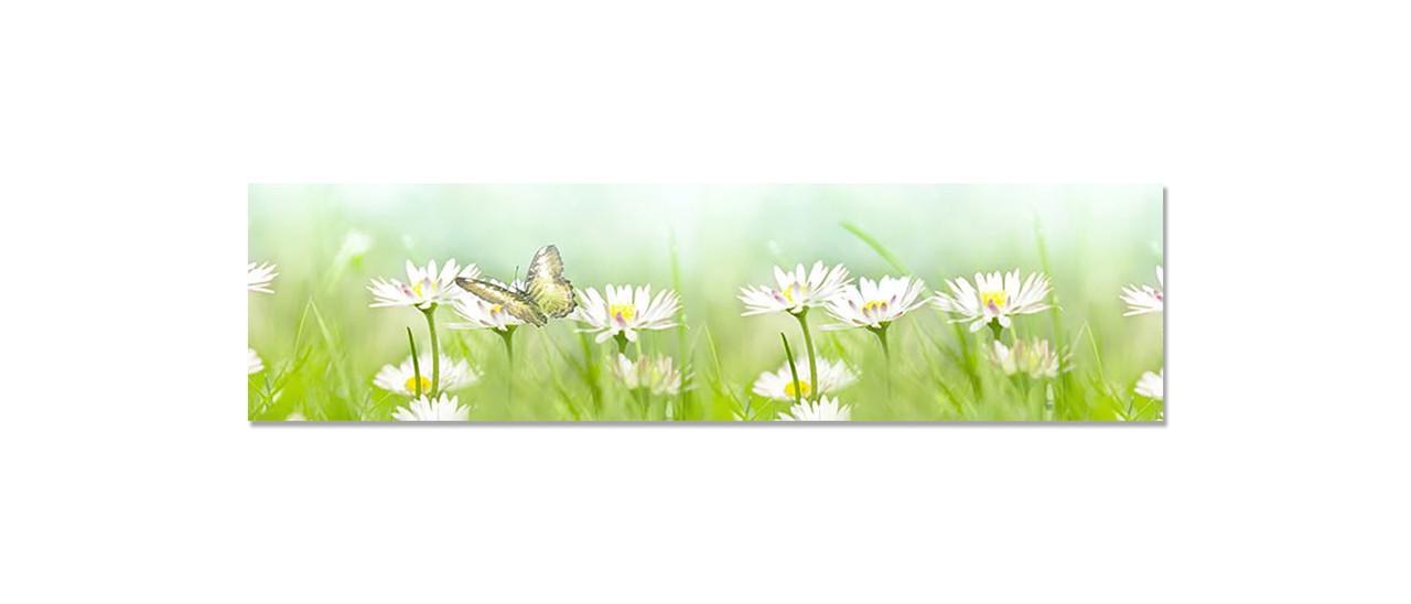 Наклейка виниловая на кухню Zatarga Полевые Ромашки 650х2500 мм (1289776355) Наклейка виниловая на кухню Zatarga Полевые Ромашки 650х2500 мм (1289776355)