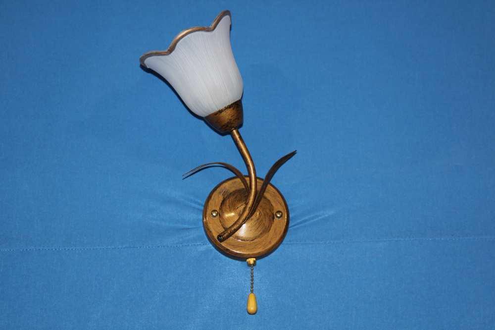 Бра с плафонами Ray B90793G/1 (IR004985)