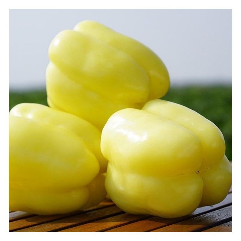 Насіння Перець Rijk Zwaan BURABELLA F1 1 000 шт. (2289886251.5)