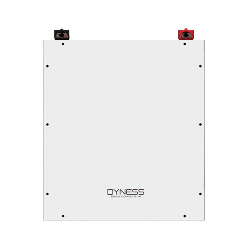 Аккумуляторная батарея Dyness A48100 (0025) - фото 2 Аккумуляторная батарея Dyness A48100 (0025) - фото 2