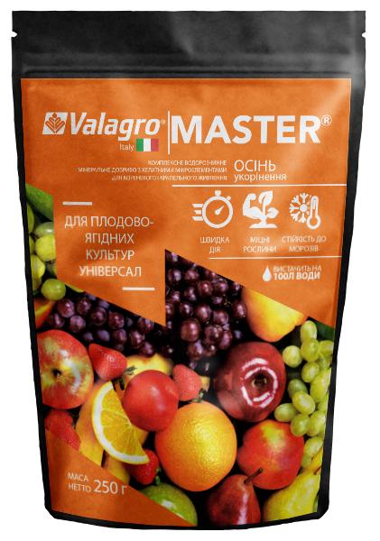 Удобрение комплексное минеральное универсальное для плодово-ягодных культур Valagro Master NPK 13.40.13 осень 250 г