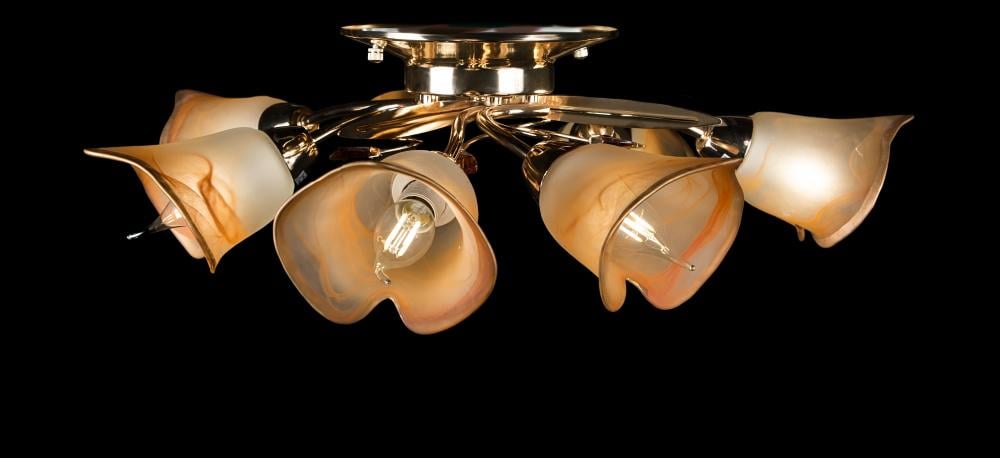 Люстра с плафонами Ray L90375B/6 FGD (IR006085)