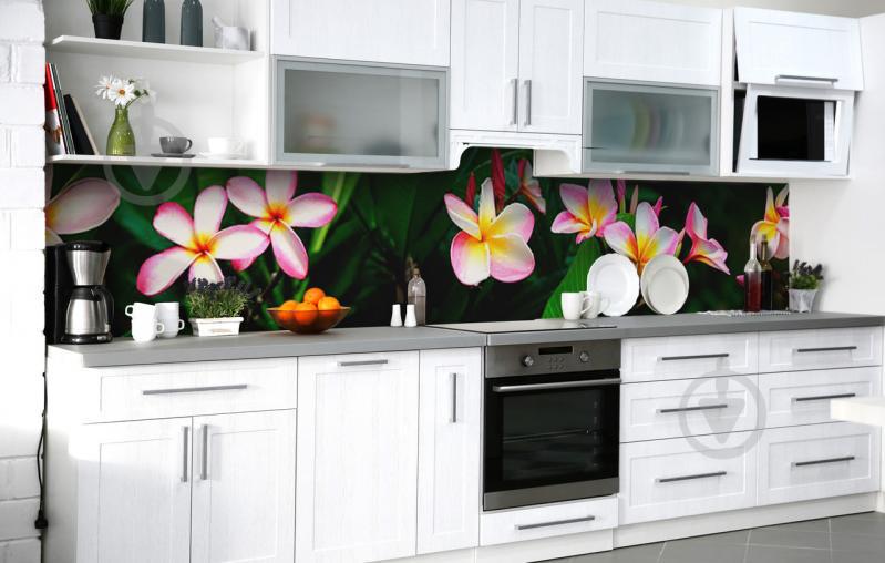 Скинали на кухню Zatarga «Тропические цветочки» 600х2500 мм виниловая 3Д наклейка кухонный фартук