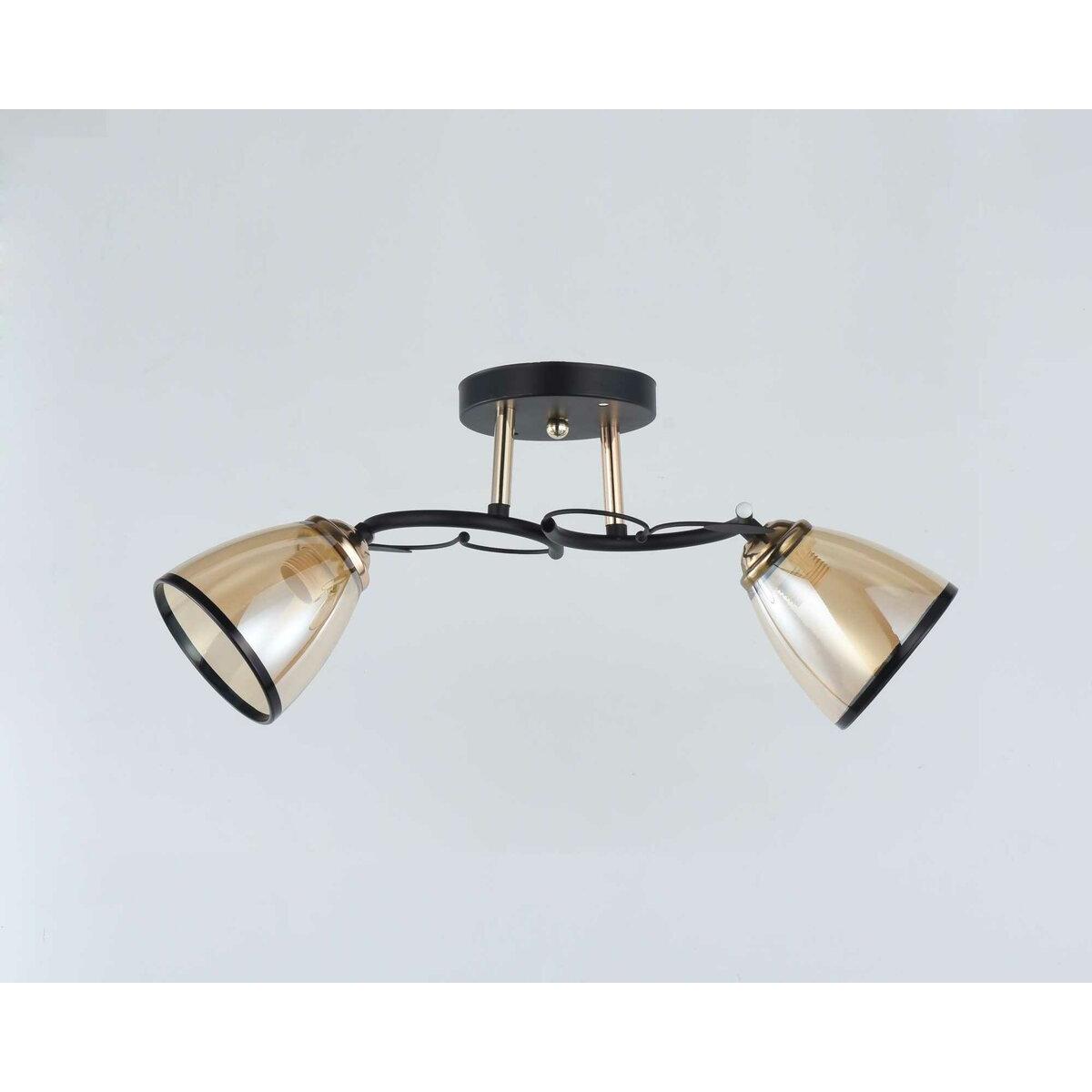 Люстра Sirius 10134/2 на 2 плафона (372482)