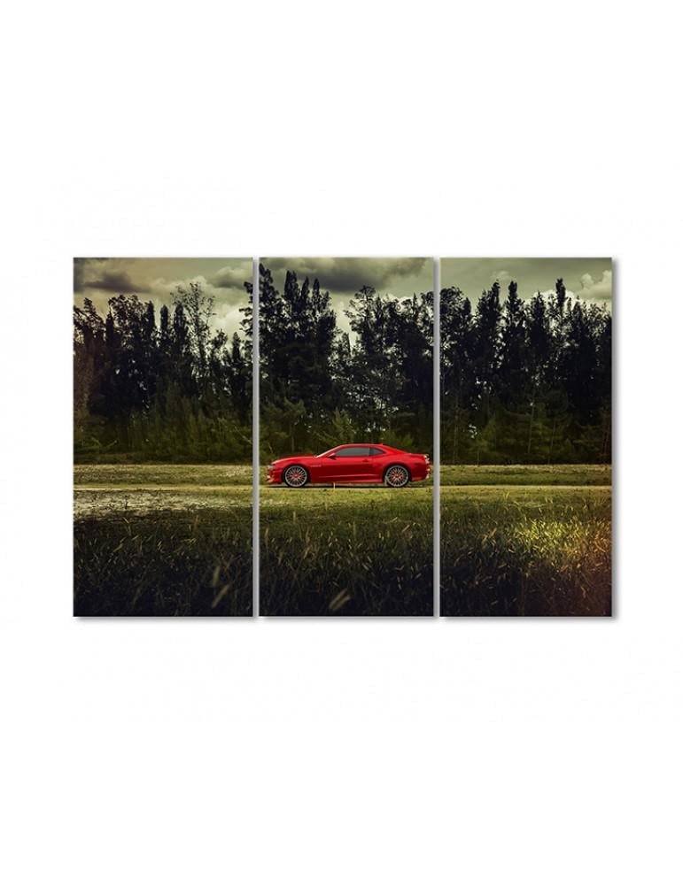 Картина модульная Спортивная машина в поле 3 модуля 80x120 см