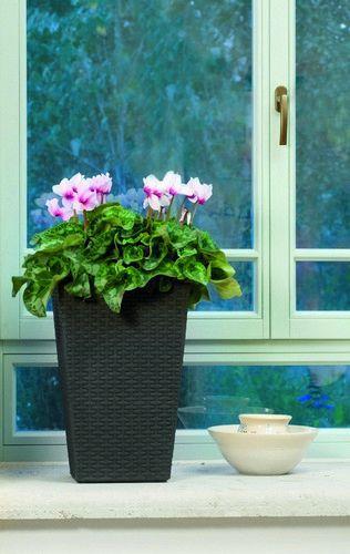 Горщик для рослин Keter Rattan Planter S small 23,6 л (7290103659257) - фото 2