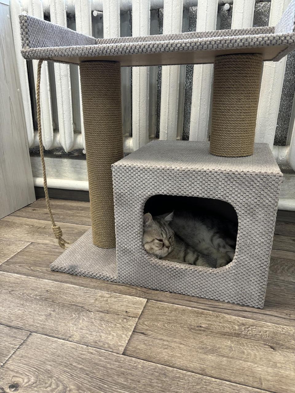 Когтеточка-домик с лежанкой 65x55x35 см Мокко (21706939) - фото 3 Когтеточка-домик с лежанкой 65x55x35 см Мокко (21706939) - фото 3