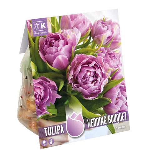 Тюльпан Florium Wedding Bouqet брендовые луковицы Kapiteyn (18262)