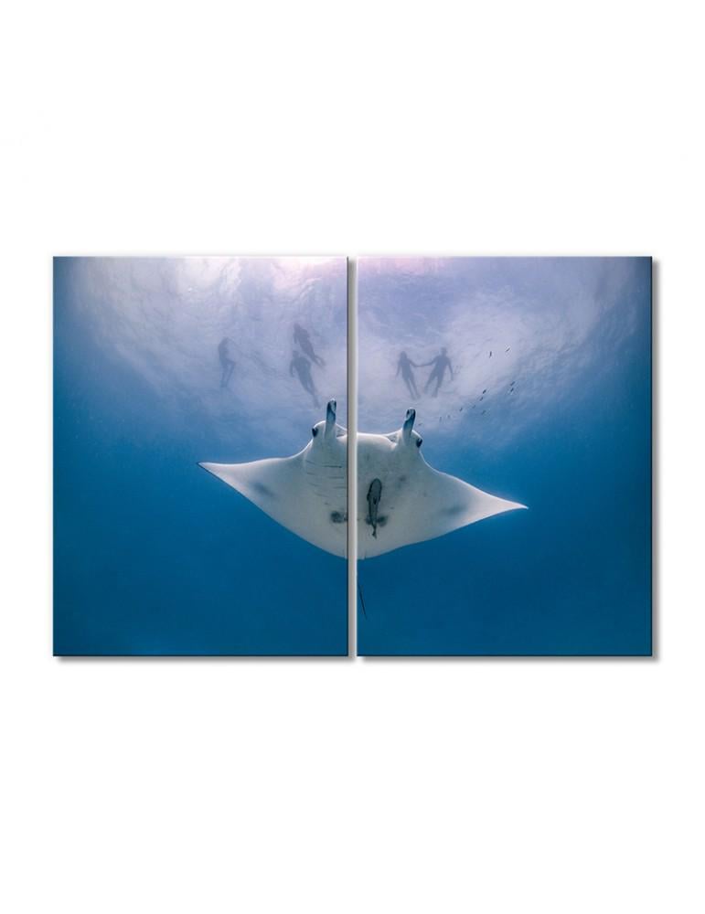 Картина модульная Скат 2 модуля 50x75 см