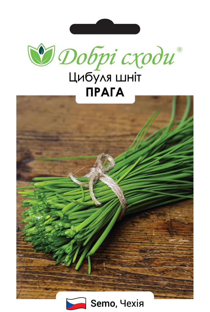 Семена лук Герда Прага Сходи 200 шт. (01210008)