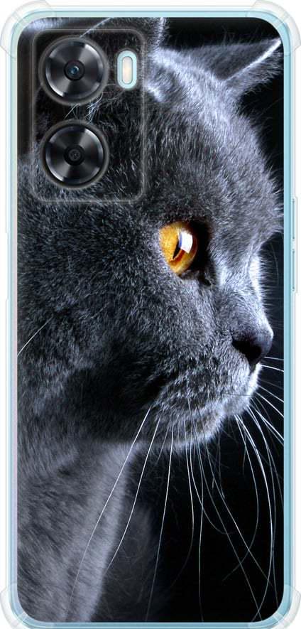 Чехол на Oppo A57s Красивый кот (3038sp-2931-42517)