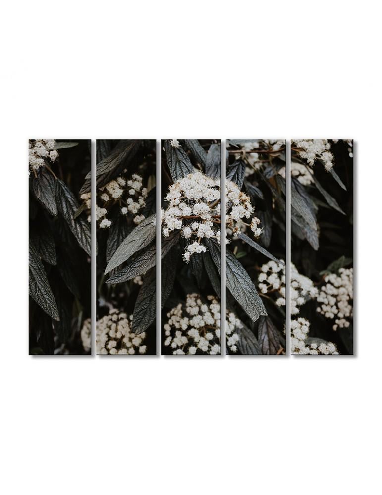 Картина модульная Растение бурачок 5 модулей 120x180 см (225848cvety_i_rasteniya)