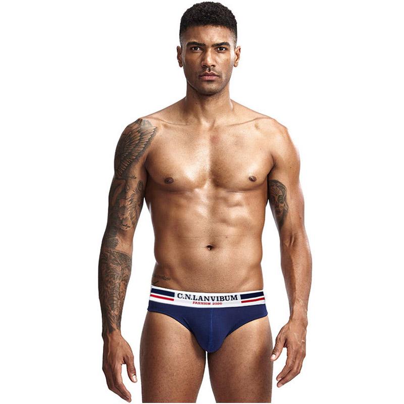 Комплект мужских трусов Lanvibum XL 6 шт. Разноцветный (7669)