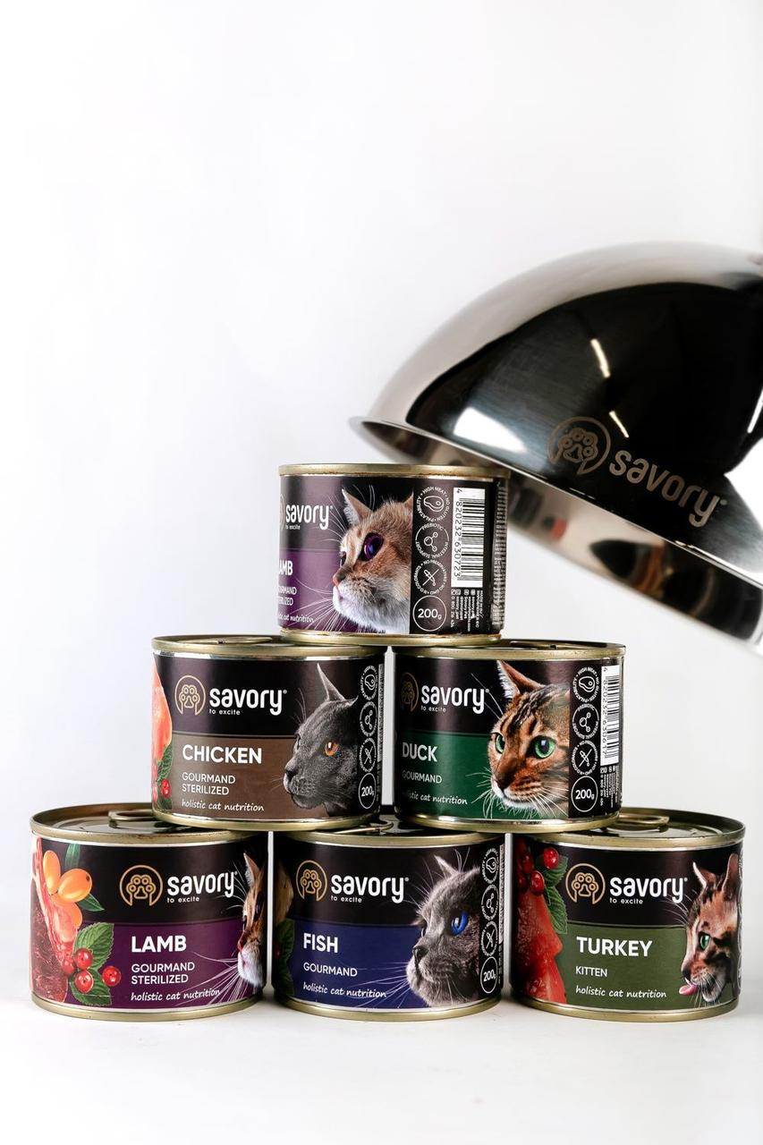 Промо-набір вологого корму для кошенят Savory Cat Can Kitten індичка 200 г 6 шт.