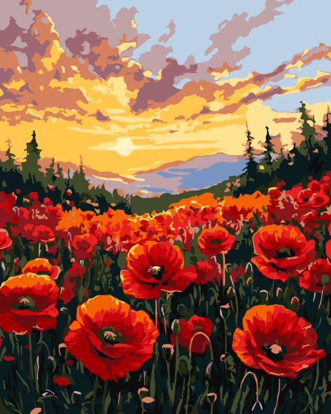 Картина за номерами Ideyka Поле маків 40x50 см (Id-KHO6398)