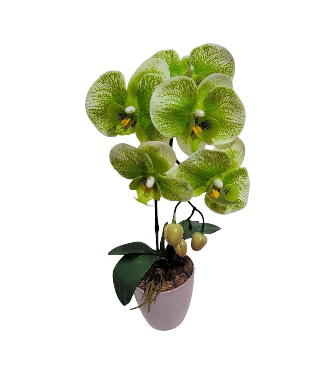 Орхидея искусственная Ravisto 42x16 см Зеленый (0513-2)