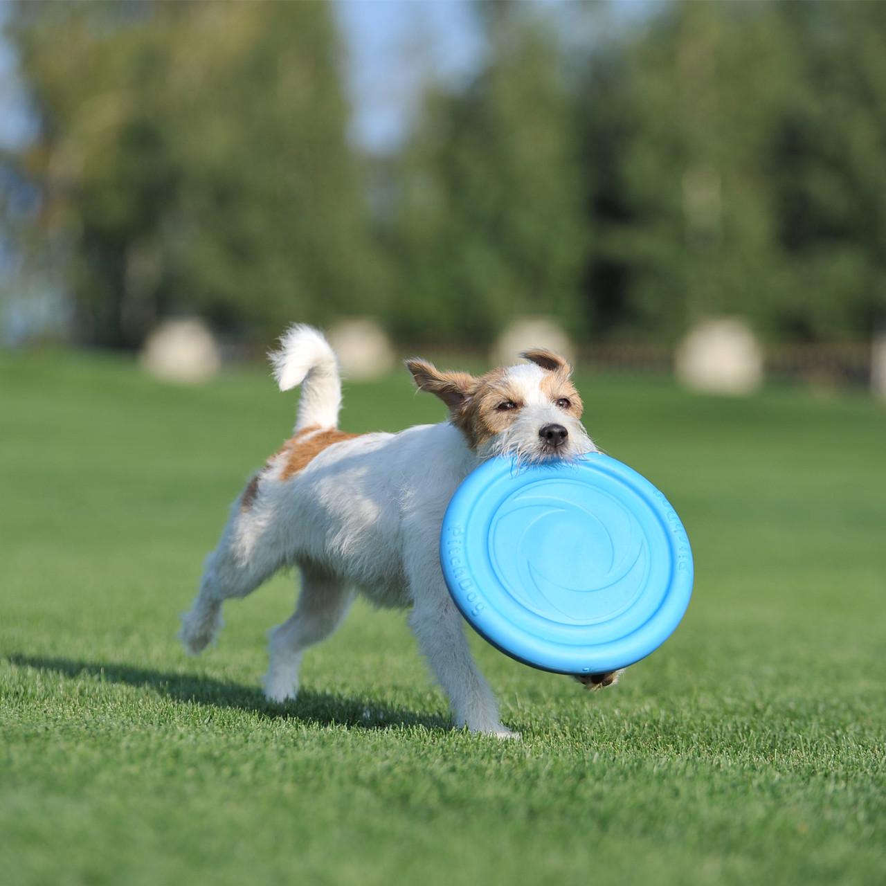 Літаючий диск для ігор та тренувань PitchDog Блакитний (62472) - фото 4 Літаючий диск для ігор та тренувань PitchDog Блакитний (62472) - фото 4