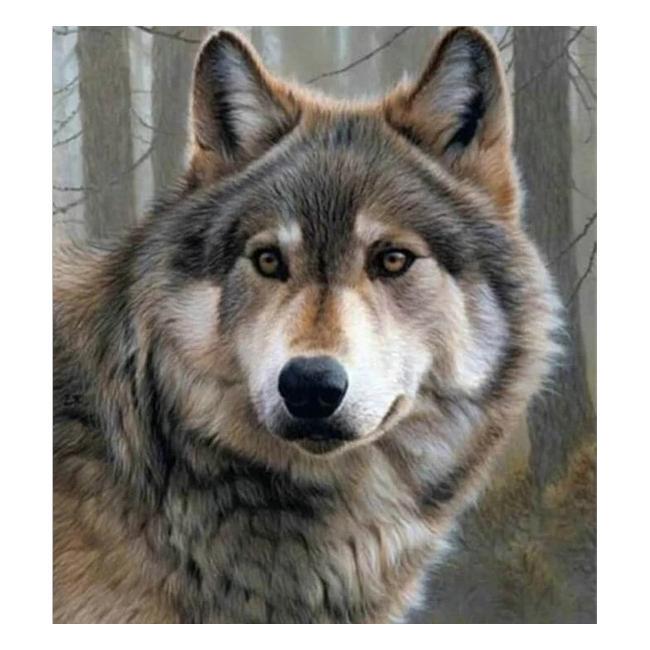 Алмазная вышивка мозаика Diy Волк 30х40 см DZDP681