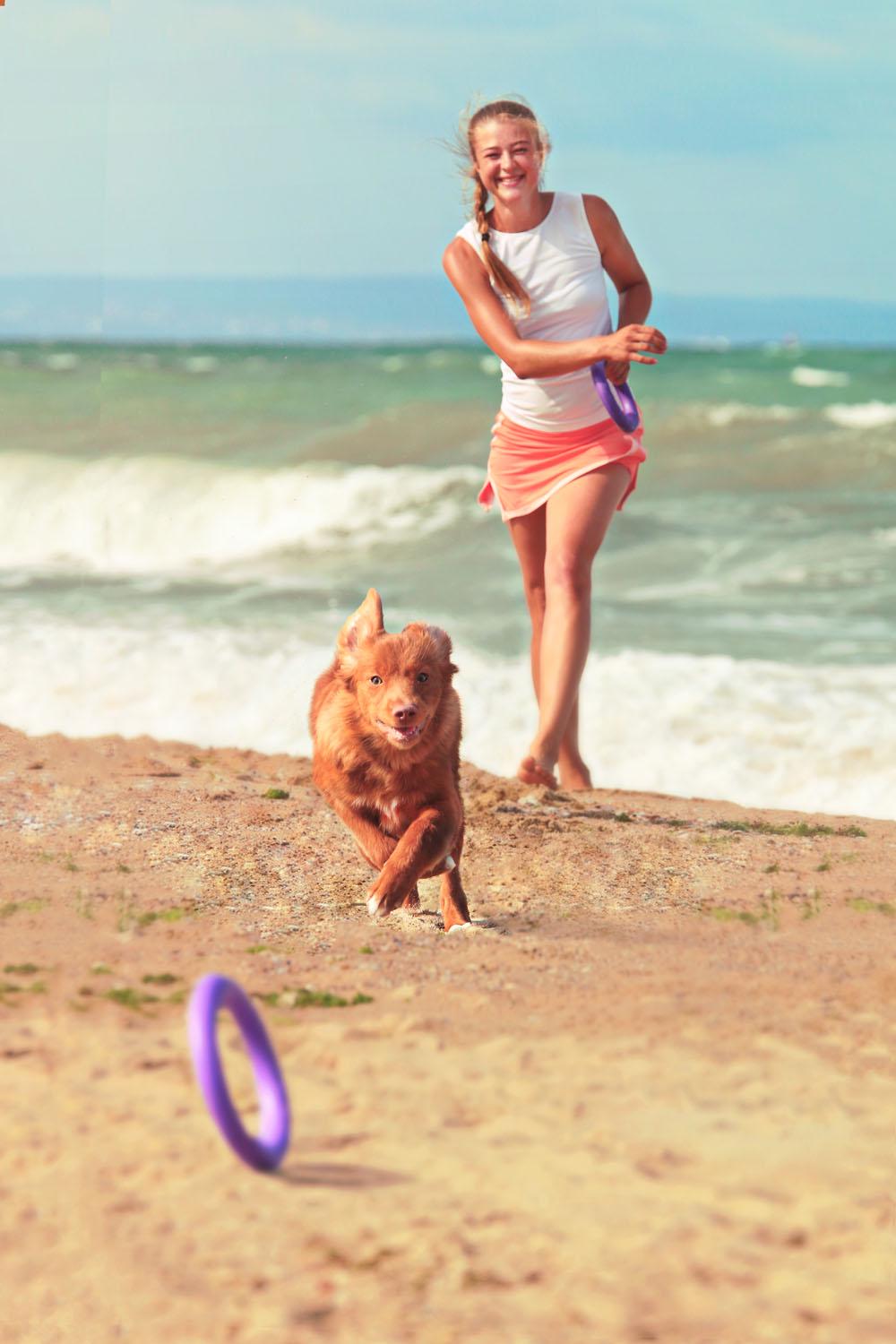 Тренувальний снаряд для собак Puller Mini 18 см (6491) - фото 17 Тренувальний снаряд для собак Puller Mini 18 см (6491) - фото 17