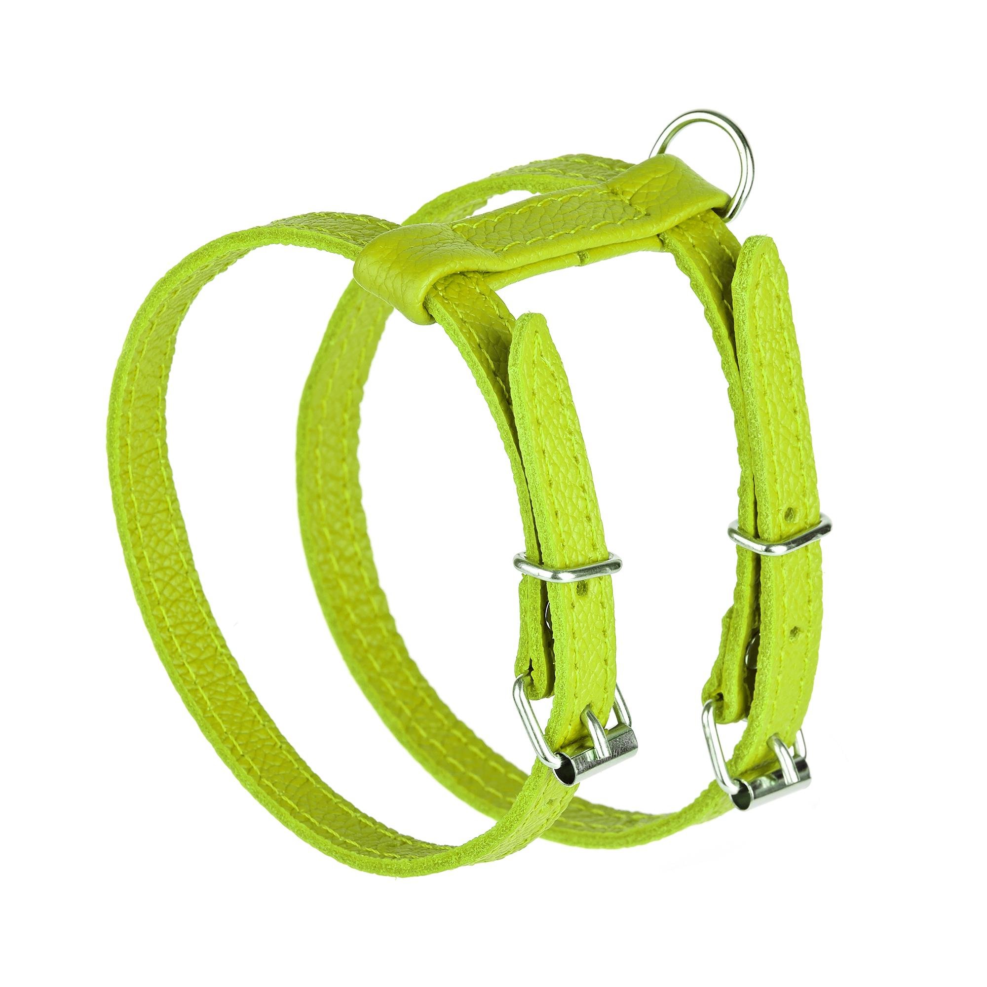 Шлея KareLine з натуральної шкіри 12 мм А-230-300 мм В-270-340 мм Салатовий (8420/5) - фото 1 Шлея KareLine з натуральної шкіри 12 мм А-230-300 мм В-270-340 мм Салатовий (8420/5) - фото 1