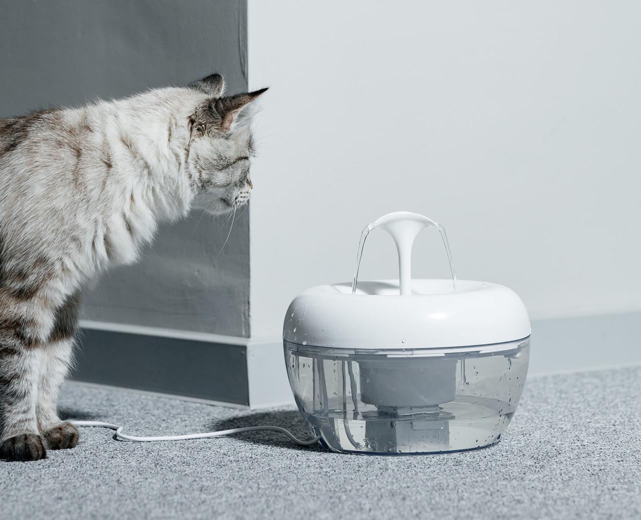 Поилка фонтан для кошек PAWOOF 1,5 л с фильтром (1069312191) - фото 5