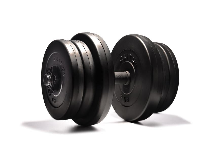 Гантели сборные Elitum с ABS покрытием 42 кг (Sport305) - фото 1 Гантели сборные Elitum с ABS покрытием 42 кг (Sport305) - фото 1