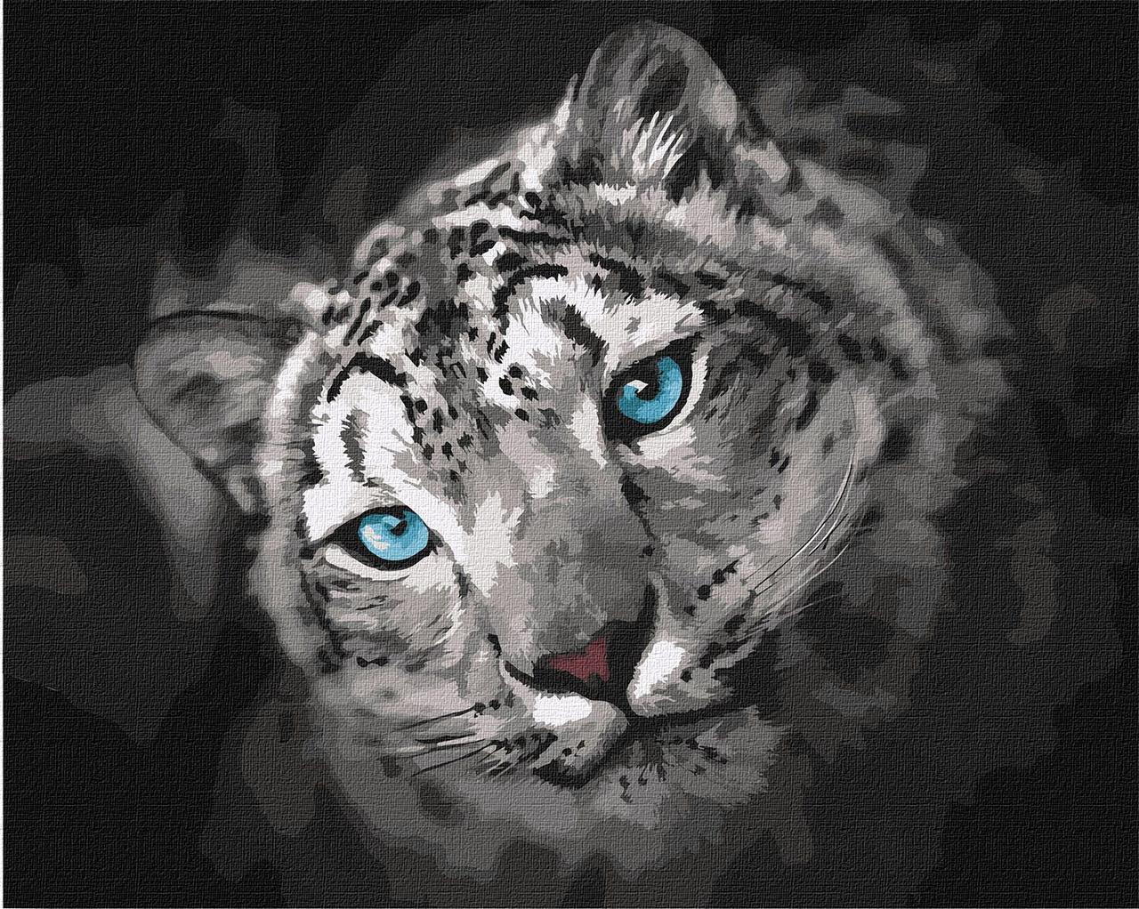 Картина по номерам Идейка Небесный взгляд КНО4306 холст на подрамнике 40x50 см (1601473894)