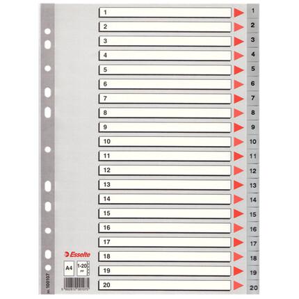 Разделители страниц Esselte цифровые А4 20 шт. Разноцветный (100107)