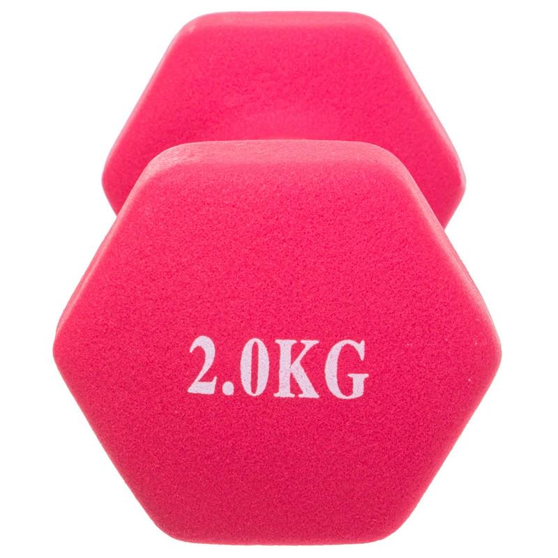 Гантель для фітнесу Zelart SP-Planeta Веселка TA-0001-2 1 шт. 2 кг Рожевий (DR004962) - фото 3 Гантель для фітнесу Zelart SP-Planeta Веселка TA-0001-2 1 шт. 2 кг Рожевий (DR004962) - фото 3