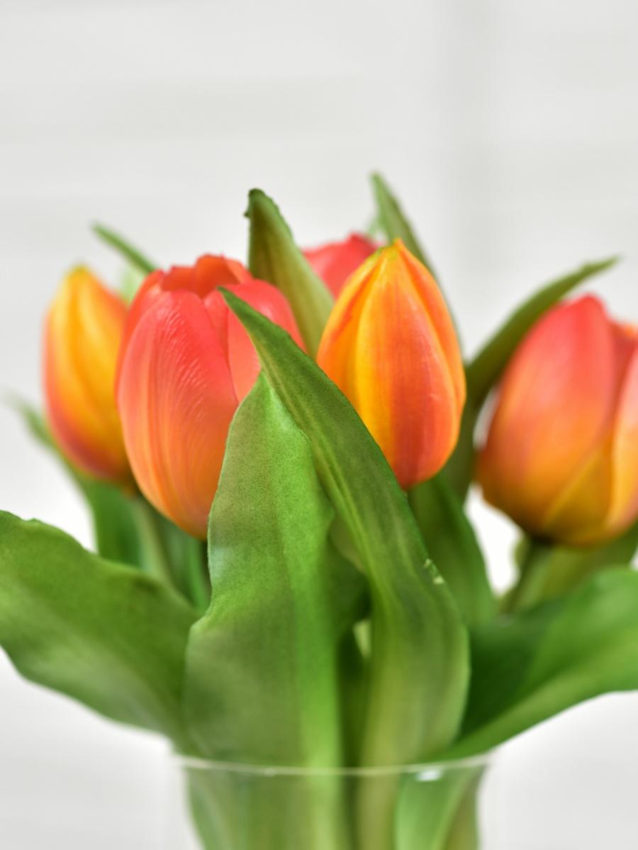 Тюльпан букет Indigo Premium 7 голов 30 см Оранжевый (73229-6) - фото 3