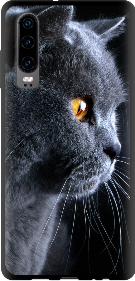 Чехол на Huawei P30 Красивый кот (3038b-1622-42517)