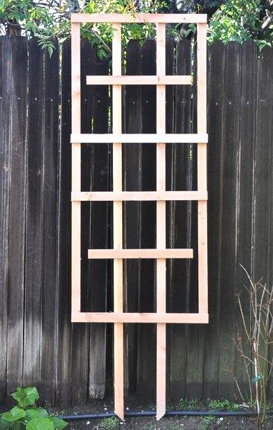 Опора для плетущихся из дерева Белаис Бланже (ОДВ-003001)