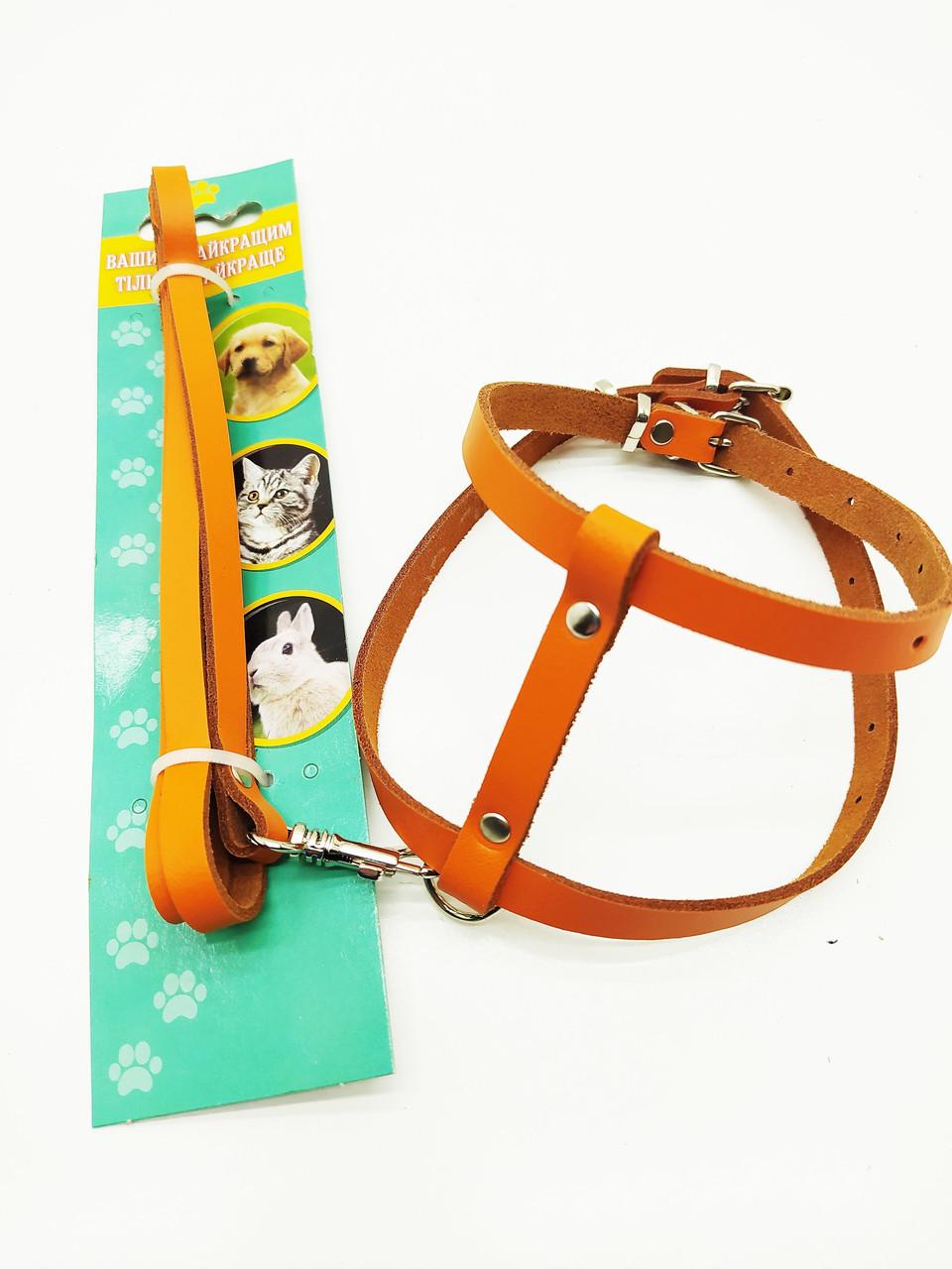 Шлейка-поводок Лорі Кот кожа Коричневый (ф405)