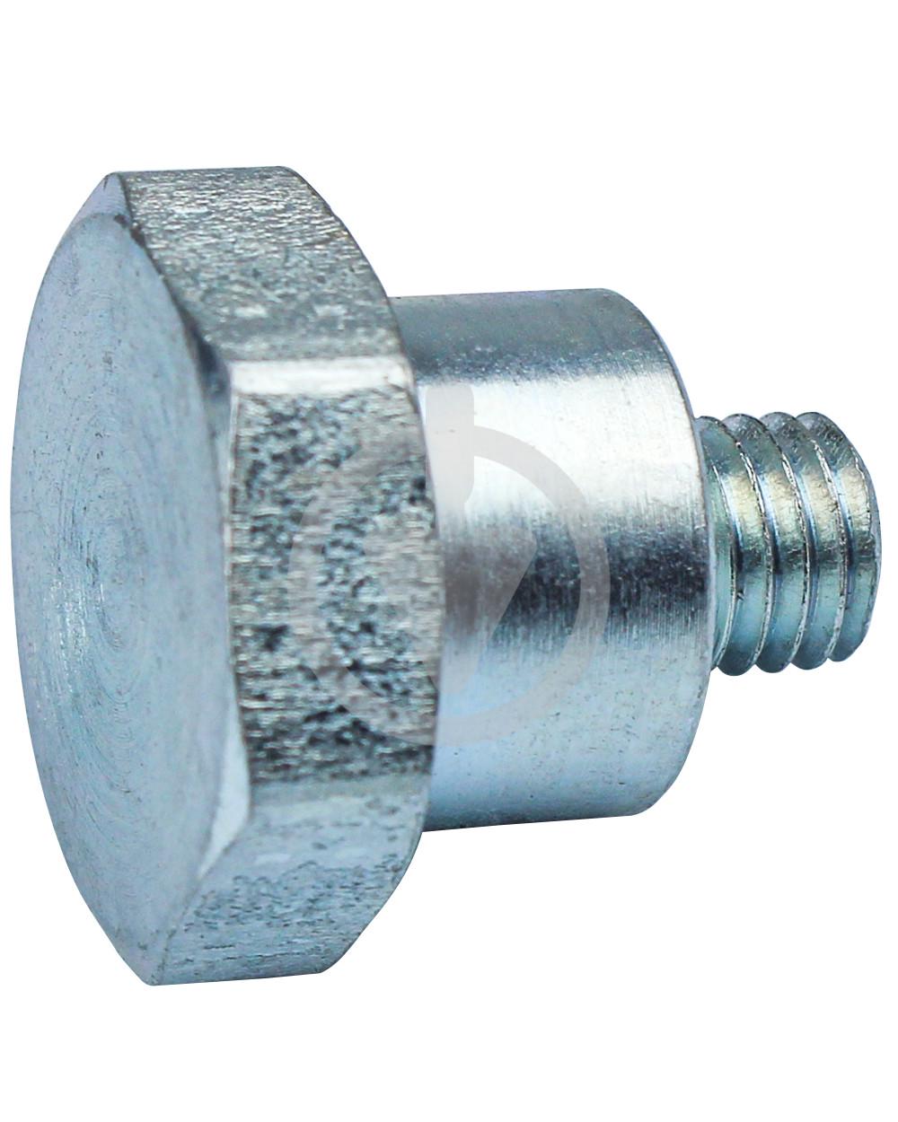 Винт подшипника ремня пневмопривода Brinkmann DC 260/45 EB 450/550 (13476581)