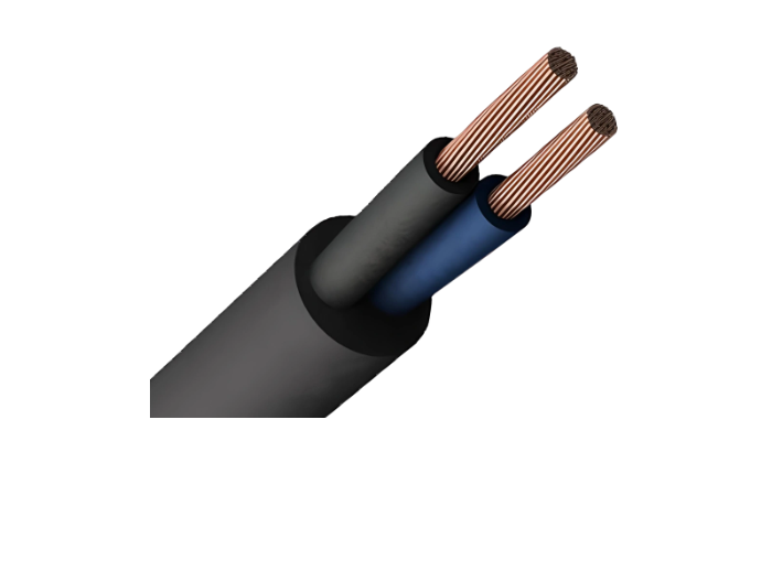 Провід ПВС 2х2,5 1 м ЗЗКМ Чорний