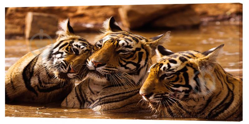 Картина на холсте Декор Карпаты Животные 50х100 см (z1091)