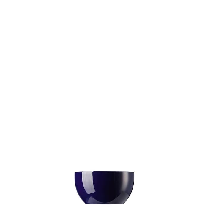 Сахарница Thomas-porzellan Sunny Day Cobalt 0,25л Blue (2570823)