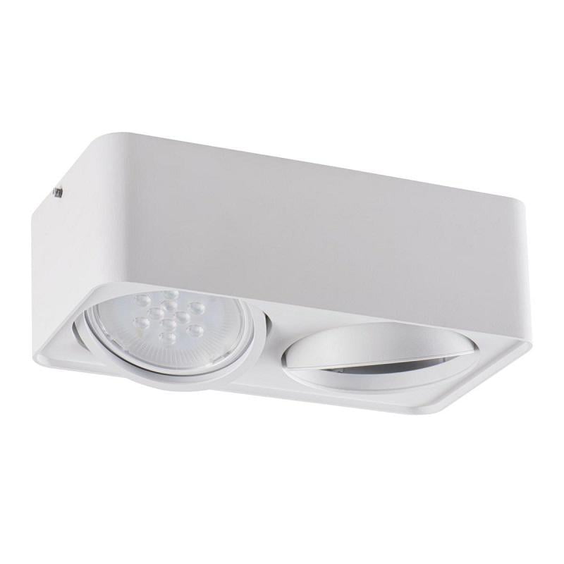 Потолочный точечный светильник TUBEO ES 250-W