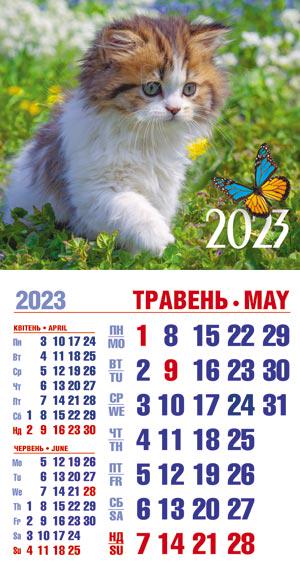 Календарь на 2023 год магнит отрывной Котенок на природе - фото 1