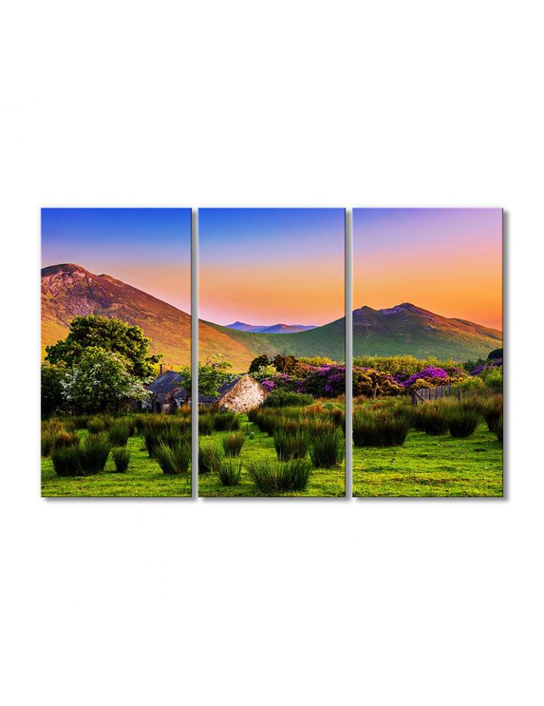 Картина модульная Радужное небо и поле 3 модуля 50x75 см