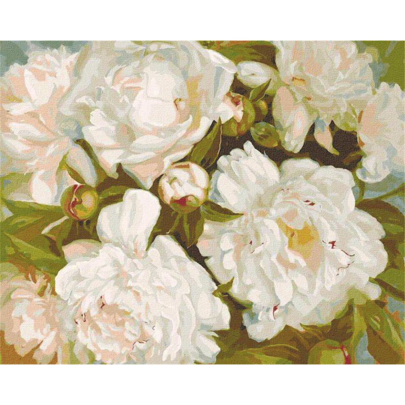 Картина по номерам Идейка Белая красота 40х50 см в термопакете (КНО2985-mt)