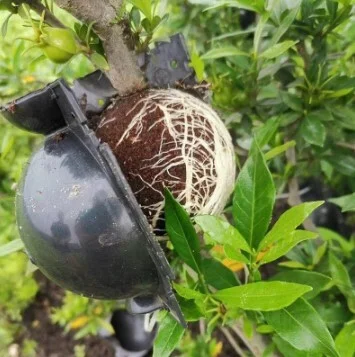 Шар для укоренения растений для бережного выращивания корней растений M-8 см 6 шт. (Y00611-2) - фото 6 Шар для укоренения растений для бережного выращивания корней растений M-8 см 6 шт. (Y00611-2) - фото 6