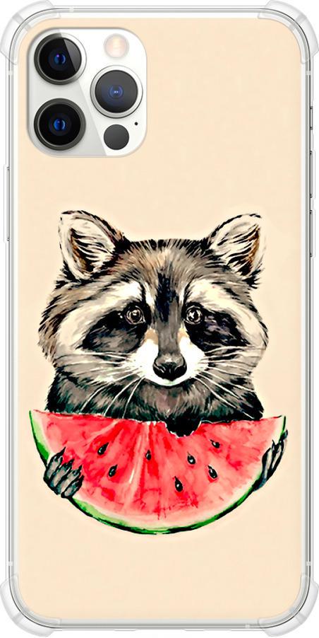 Чехол на iPhone 12 Pro Енотик с арбузом (4605sp-2052-42517)