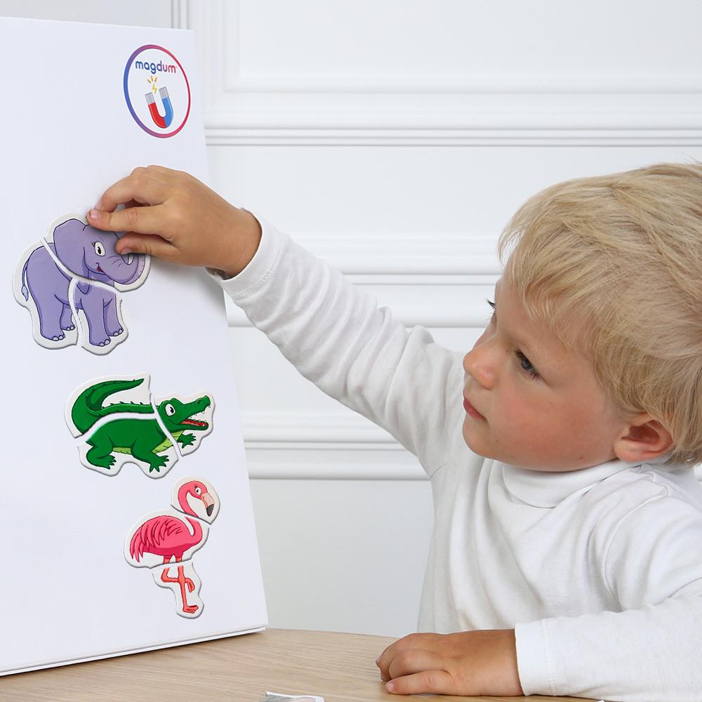 Пазли магнітні Magdum Зоо (ML4031-18 EN) - фото 9 Пазли магнітні Magdum Зоо (ML4031-18 EN) - фото 9