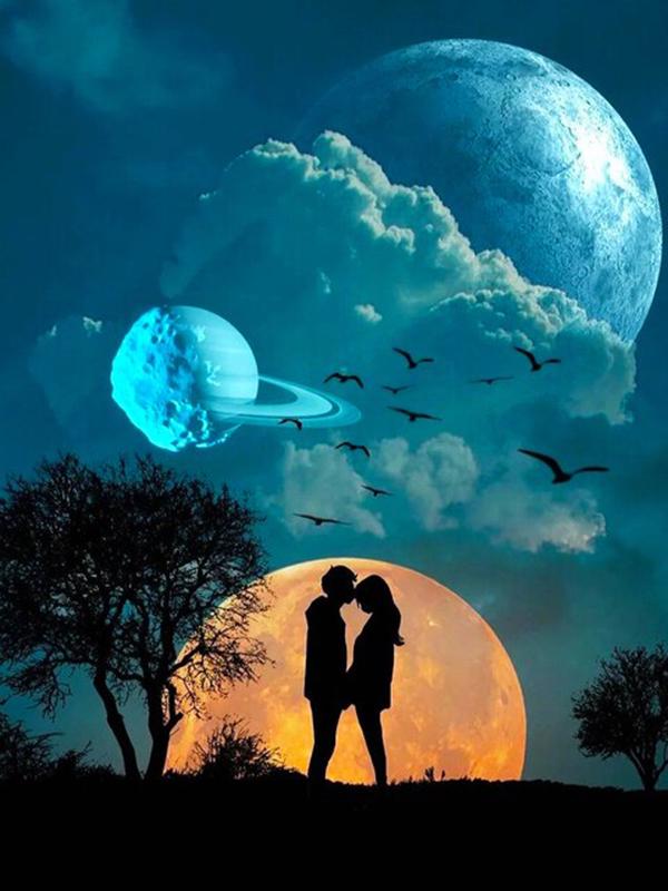 Алмазна мозаїка Під світлом місяця DIY-14 повна викладка 30x40 см (26556)