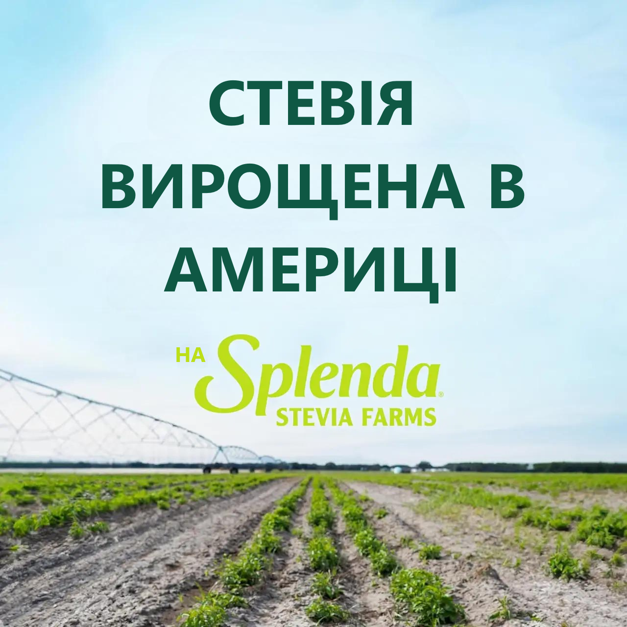 Підсолоджувач Splenda Stevia Стевія 540 г - фото 3