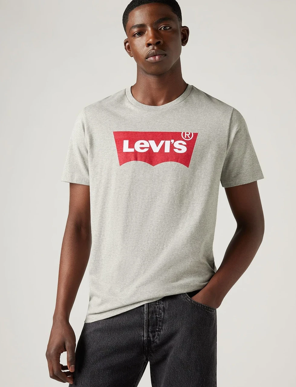 Футболка хлопковая мужская Levi's Graphic Setin Neck M Серый (2424762167)