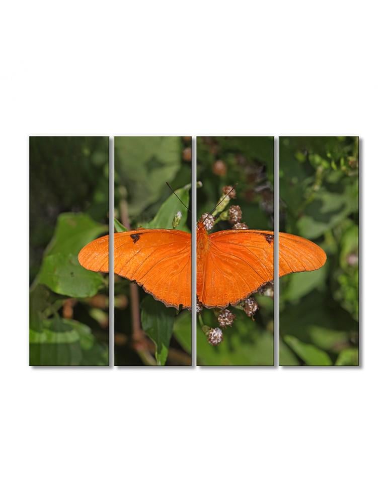 Картина модульная Паутинные бабочки 4 модуля 120x180 см