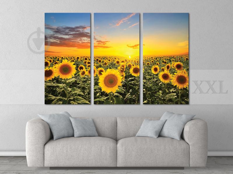Модульна картина Poster-land Соняшники Art-51_XXL